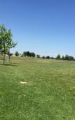 Туры в отель Holiday Fort Golf Club Туры в отель Holiday Fort Golf Club