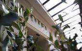 Туры в отель Hotel Leopold - Orso Hotel Туры в отель Hotel Leopold - Orso Hotel