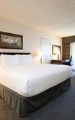 Туры в отель Atrium Hotel Vancouver Туры в отель Atrium Hotel Vancouver