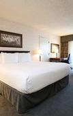 Туры в отель Atrium Hotel Vancouver Туры в отель Atrium Hotel Vancouver