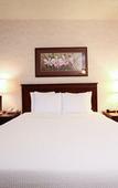 Туры в отель Atrium Hotel Vancouver Туры в отель Atrium Hotel Vancouver