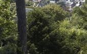 Туры в отель Domaine Saint Clair Le Donjon Etretat Туры в отель Domaine Saint Clair Le Donjon Etretat