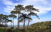 Туры в отель Domaine Saint Clair Le Donjon Etretat Туры в отель Domaine Saint Clair Le Donjon Etretat