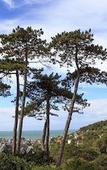 Туры в отель Domaine Saint Clair Le Donjon Etretat Туры в отель Domaine Saint Clair Le Donjon Etretat
