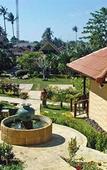 Туры в отель Paradise Bungalows Туры в отель Paradise Bungalows