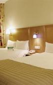 Туры в отель Holiday Inn Madrid Bernabeu Туры в отель Holiday Inn Madrid Bernabeu