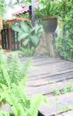 Туры в отель Tonsak Resort Туры в отель Tonsak Resort