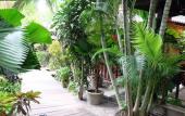 Туры в отель Tonsak Resort Туры в отель Tonsak Resort