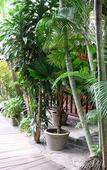 Туры в отель Tonsak Resort Туры в отель Tonsak Resort