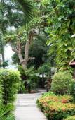 Туры в отель Tonsak Resort Туры в отель Tonsak Resort