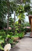 Туры в отель Tonsak Resort Туры в отель Tonsak Resort