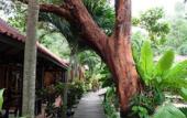 Туры в отель Tonsak Resort Туры в отель Tonsak Resort