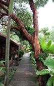 Туры в отель Tonsak Resort Туры в отель Tonsak Resort