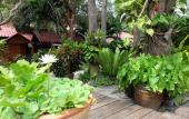 Туры в отель Tonsak Resort Туры в отель Tonsak Resort