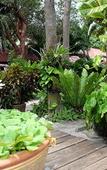 Туры в отель Tonsak Resort Туры в отель Tonsak Resort