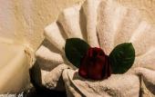 Туры в отель HOTEL POCNA Туры в отель HOTEL POCNA