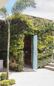 Туры в отель Chileno Bay Resort & Residences, Auberge Collection Туры в отель Chileno Bay Resort & Residences, Auberge Collection