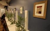 Туры в отель Samesun Vancouver - Hostel Туры в отель Samesun Vancouver - Hostel