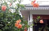 Туры в отель Coco Bay Guest House Туры в отель Coco Bay Guest House