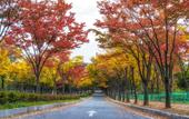 Туры в отель Toyoko Inn Incheon Bupyeong Туры в отель Toyoko Inn Incheon Bupyeong