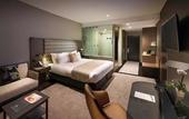 Туры в отель Pullman Brisbane Airport Туры в отель Pullman Brisbane Airport