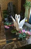 Туры в отель Songhuajiang International Hotel Туры в отель Songhuajiang International Hotel