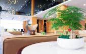 Туры в отель Fairfield by Marriott baoding high tech zone Туры в отель Fairfield by Marriott baoding high tech zone