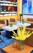 Туры в отель Fairfield by Marriott baoding high tech zone Туры в отель Fairfield by Marriott baoding high tech zone