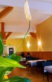 Туры в отель Hostel Space Capsule Туры в отель Hostel Space Capsule