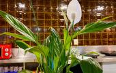 Туры в отель Hostel Space Capsule Туры в отель Hostel Space Capsule