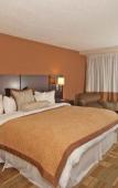 Туры в отель Holiday Inn & Suites Туры в отель Holiday Inn & Suites