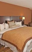 Туры в отель Holiday Inn & Suites Туры в отель Holiday Inn & Suites