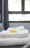 Туры в отель Hostal Bedmates Туры в отель Hostal Bedmates