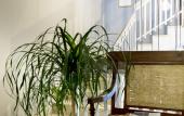Туры в отель Residenza Del Borgo Туры в отель Residenza Del Borgo