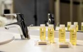 Туры в отель ACE Hotel Lyon Venissieux Туры в отель ACE Hotel Lyon Venissieux