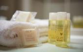Туры в отель ACE Hotel Lyon Venissieux Туры в отель ACE Hotel Lyon Venissieux