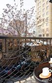 Туры в отель Latorre Hotel Туры в отель Latorre Hotel