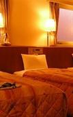 Туры в отель Business Hotel Nissei Туры в отель Business Hotel Nissei