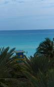 Туры в отель The Broadmore Miami Beach Туры в отель The Broadmore Miami Beach