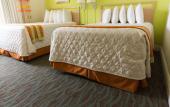 Туры в отель The Broadmore Miami Beach Туры в отель The Broadmore Miami Beach