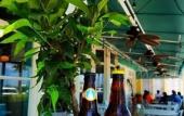 Туры в отель The Broadmore Miami Beach Туры в отель The Broadmore Miami Beach