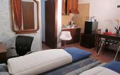 Туры в отель Euro House Inn Airport Туры в отель Euro House Inn Airport