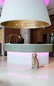 Туры в отель OPUS Hotel Vancouver Туры в отель OPUS Hotel Vancouver