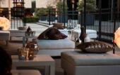 Туры в отель Wyndham Grand Oklahoma City Downtown Туры в отель Wyndham Grand Oklahoma City Downtown