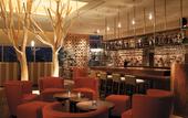 Туры в отель Breev Gwangju by Lotte Hotels Туры в отель Breev Gwangju by Lotte Hotels