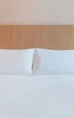 Туры в отель ibis Nantes Centre Gare Sud Туры в отель ibis Nantes Centre Gare Sud
