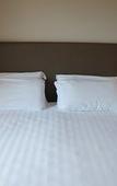 Туры в отель Hotel Aloisi Туры в отель Hotel Aloisi