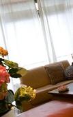Туры в отель Hotel Aloisi Туры в отель Hotel Aloisi