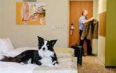 Туры в отель Corso Hotel Pecs Туры в отель Corso Hotel Pecs