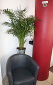 Туры в отель Hotel Vieille Tour Centre Rouen Туры в отель Hotel Vieille Tour Centre Rouen